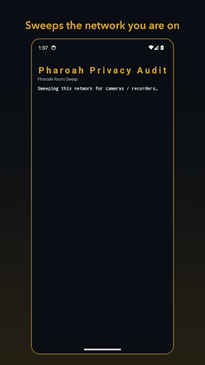 Pharoah Privacy Audit Screenshot 0