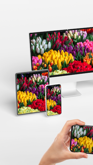 Cast TV Screen Mirroring Pro Screenshot 2