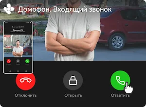 DiPal Screenshot 0