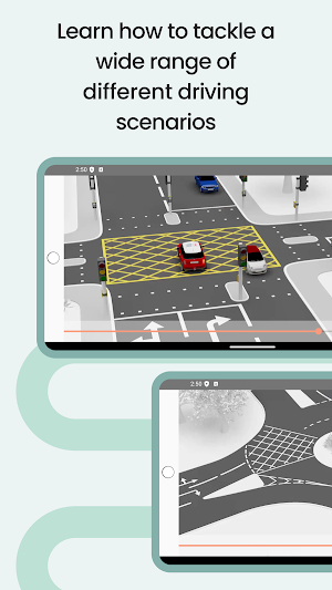 Learn to Drive Pro Screenshot 2