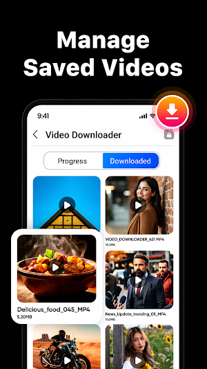 Video Downloader & Launcher Screenshot 1