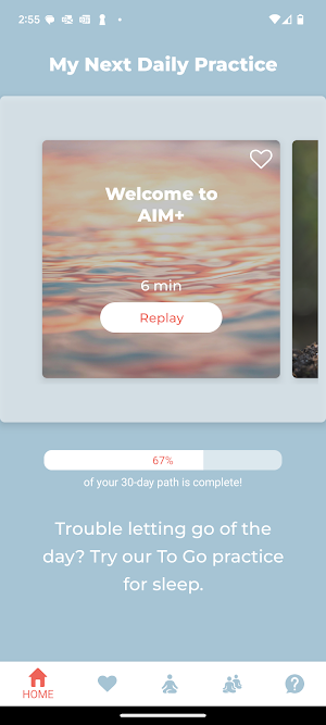 Bodhi AIM+ Screenshot 1