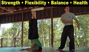 Kung Fu Body (YMAA) Screenshot 3