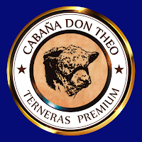 EQUIPO DON THEO