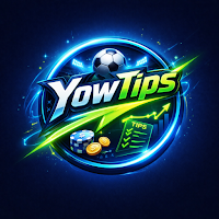 YowTips: Football betting Tips