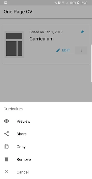 One Page CV - Create Resume PDF Screenshot 3