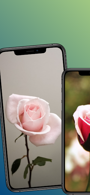 Flowers wallpaper 4k cute Screenshot 3