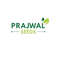 Prajwal Seeds