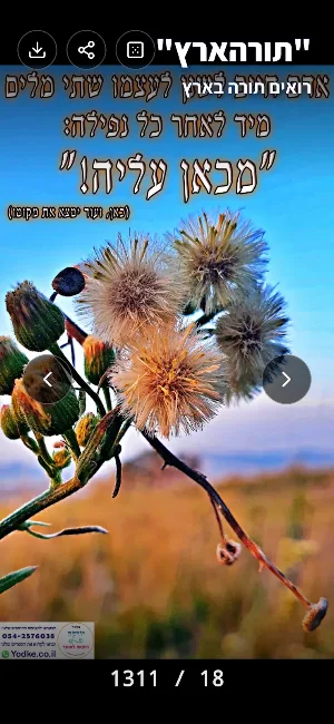 "תורהארץ" - רואים תורה בארץ Screenshot 1