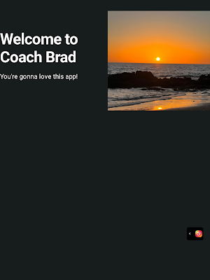 Coach Brad Screenshot 3