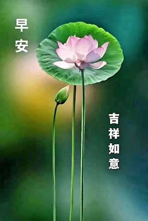 早安-早上好 早安问候图片祝福图片 晚安问候 新年祝福 Screenshot 0