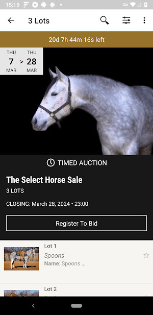 Diamond Horse Sales Screenshot 1