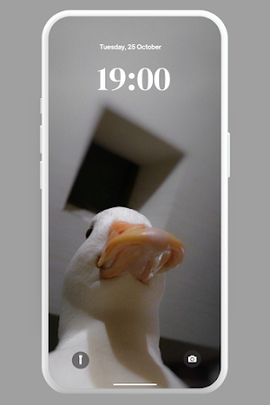 Funny Lol Wallpaper 4K Screenshot 0