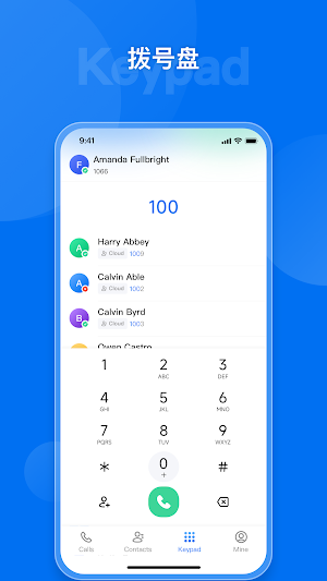 Dinlink Screenshot 2