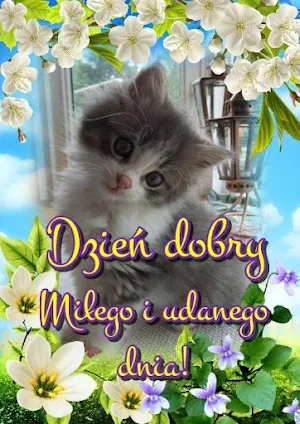 Kartki na dzień dobry Screenshot 1