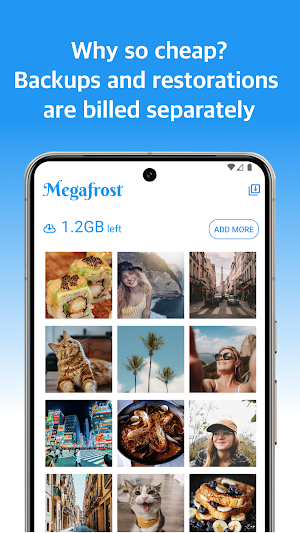 Megafrost - Backup your Media Screenshot 1