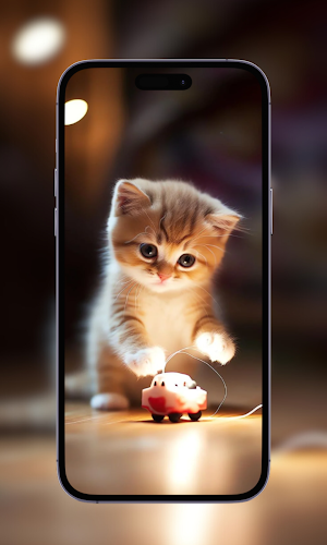 Cute Kitten Wallpaper for Cats Screenshot 3