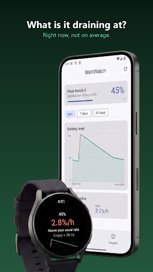 WattWatch: Watch Battery Screenshot 0