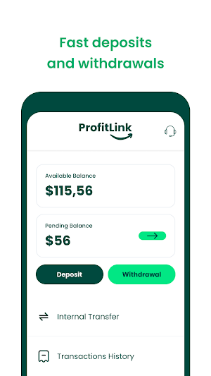 ProfitLink Screenshot 2