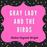 Gray Lady and the Birds - Public Domain