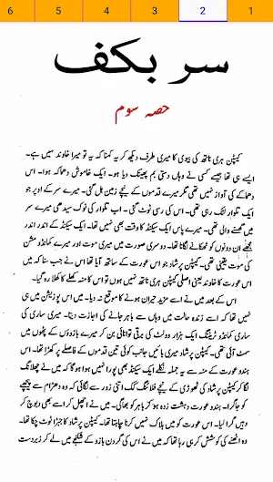 Urdu Library Screenshot 2