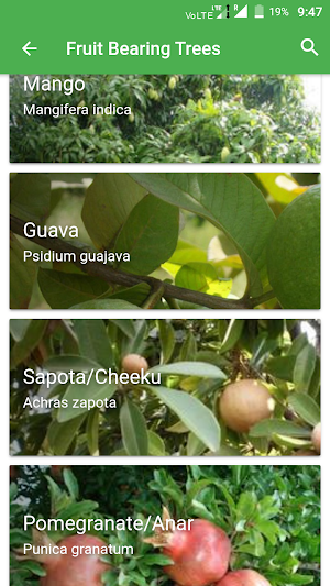 MyNurseryBazaar : Compare plant prices Screenshot 2
