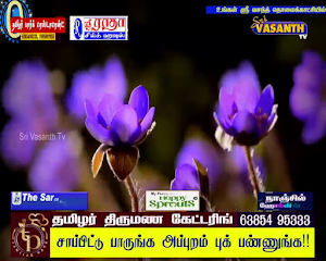 Sri vasanth TV Screenshot 3