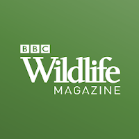 BBC Wildlife Magazine - Animal News, Facts & Photo