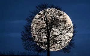 Full Moon Wallpapers Screenshot 0
