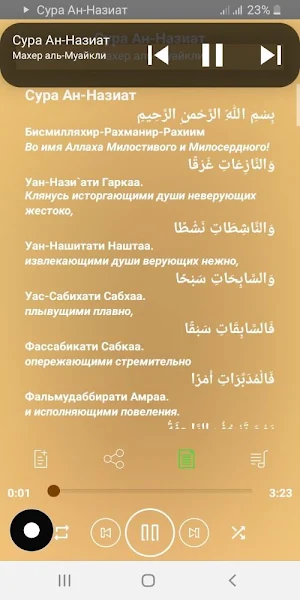 Сура Ан-Назиат аудио Screenshot 0