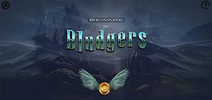 Beware Of Bludgers Screenshot 0
