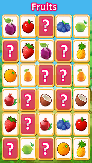 Match Concentration Game Screenshot 2