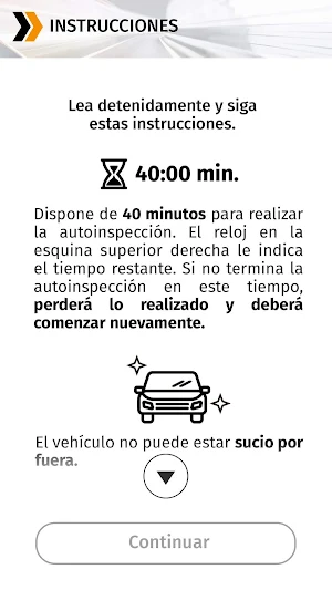 Autoinspección Seguro Screenshot 1