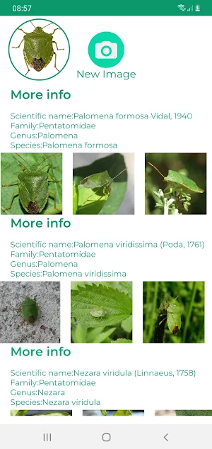 Insect ID - AI insect identify Screenshot 1
