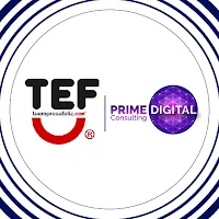 TEF VR