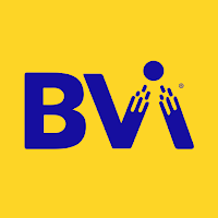 Beach Volley Institute