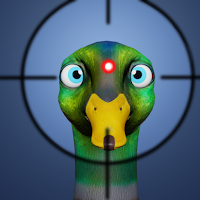 Shooting Ducks