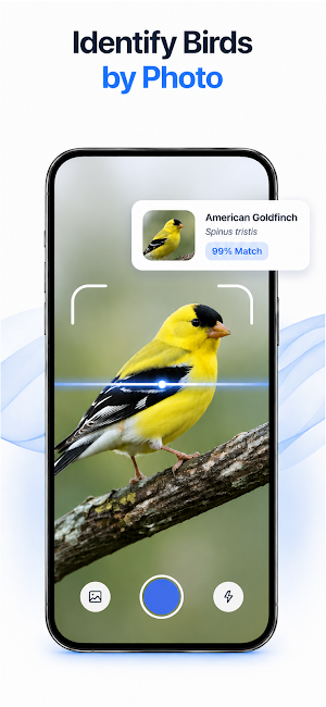 Birdly: Bird Identifier Screenshot 2