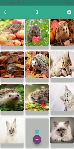 Animals wallpapers 2021 Screenshot 1