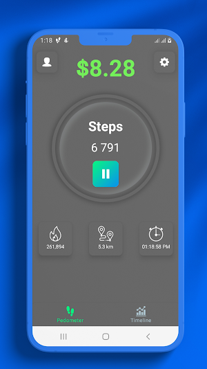 Cash Step Screenshot 0
