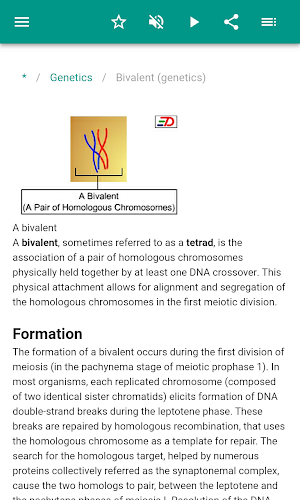 Genetics Screenshot 3