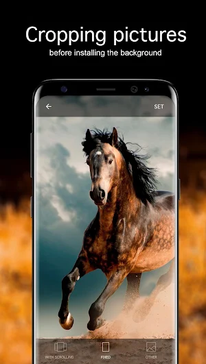 Horse Wallpapers 4K Screenshot 2