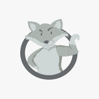 Silverfox Fitness