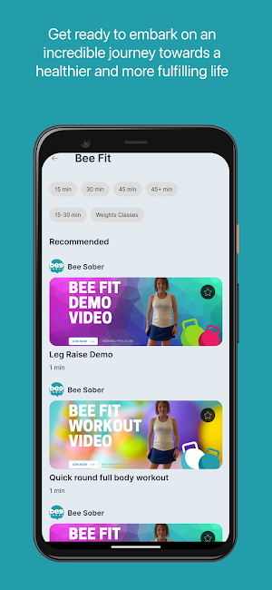 Bee Sober Screenshot 3