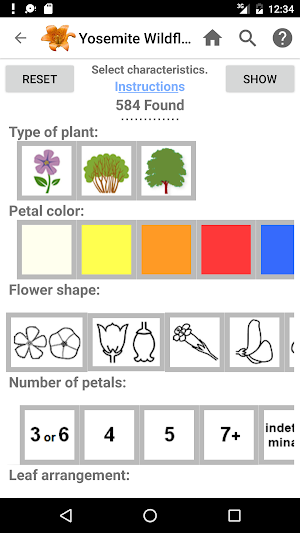 Yosemite Wildflowers Screenshot 1