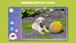 Dogs & Cats Puzzles for kids & toddlers 2 🐱🐩 Screenshot 3