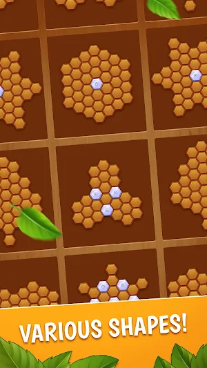 Block Hexa Classic Screenshot 3