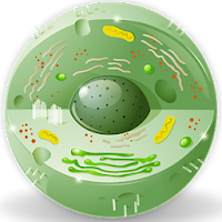 Dictionary of Biology