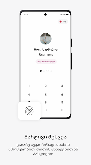 Terabank Screenshot 1