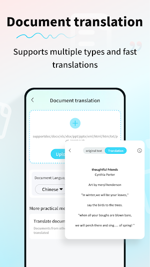 AI Translation Screenshot 2